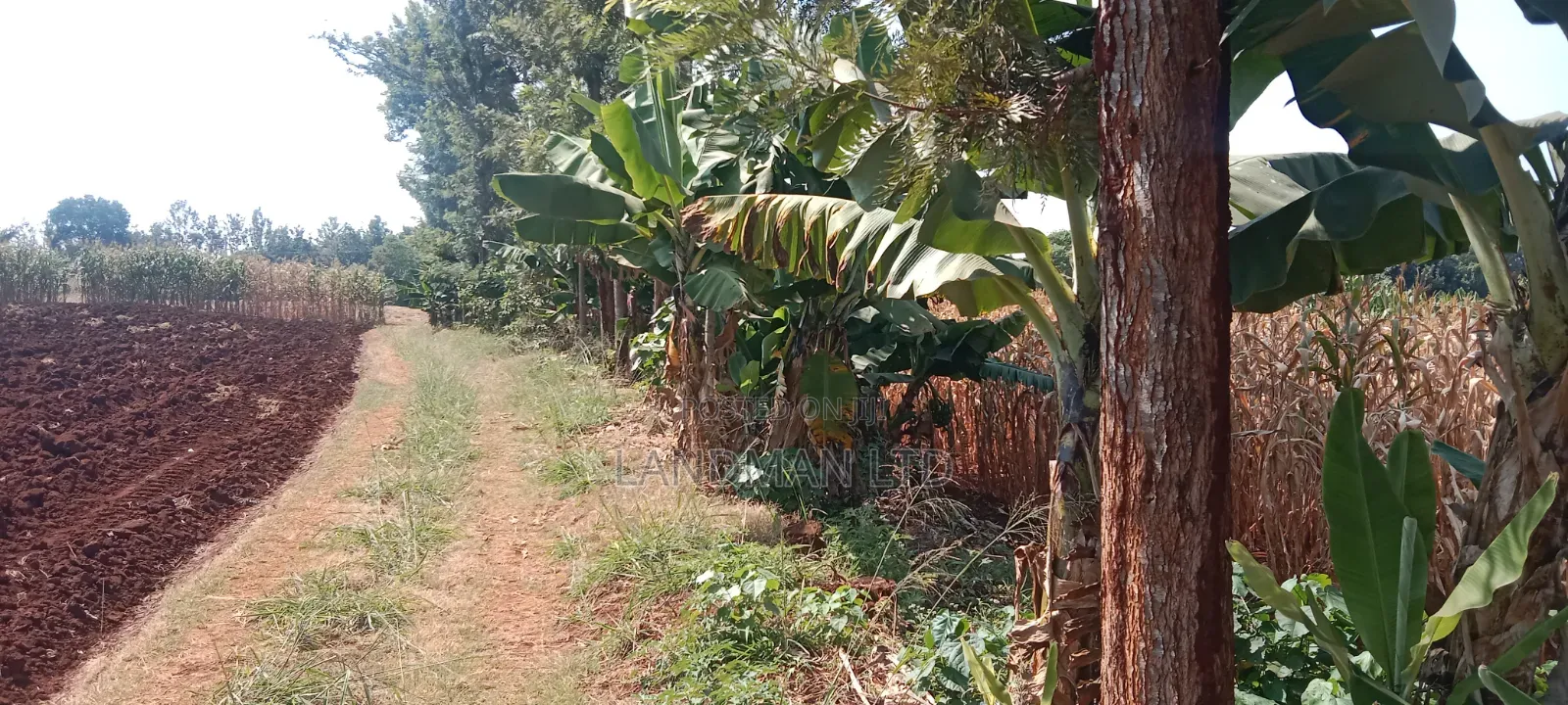 10 Acs Maragua Samar on Tarmac in Nginda