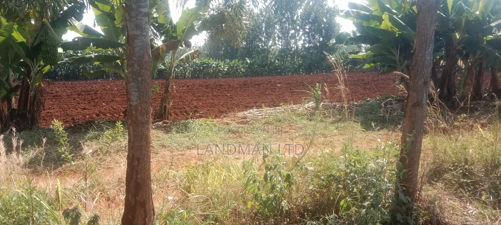 10 Acs Maragua Samar on Tarmac in Nginda