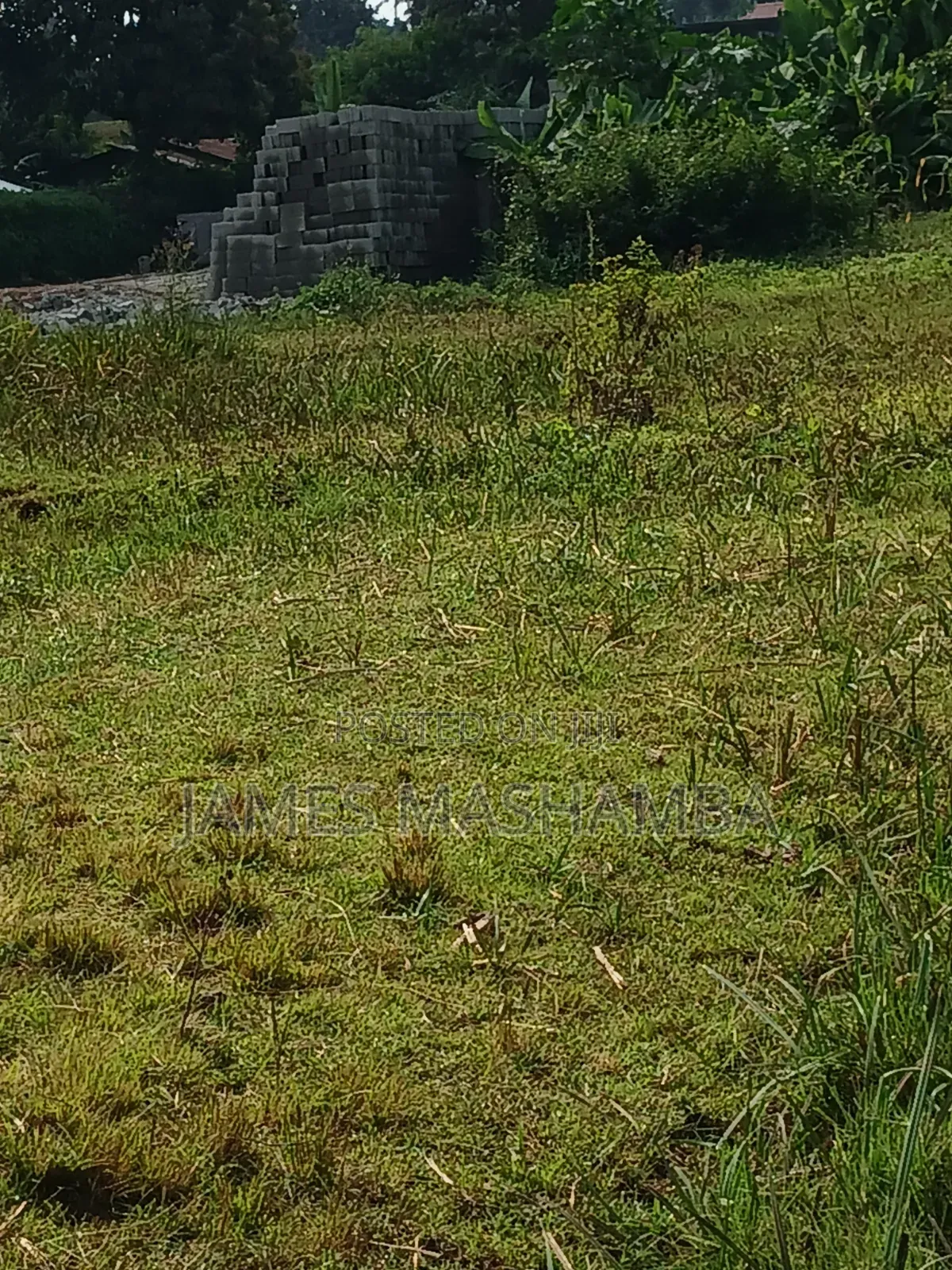 Prime Plot 50 by 100ft Touching the Southern Bypass in Mutuini