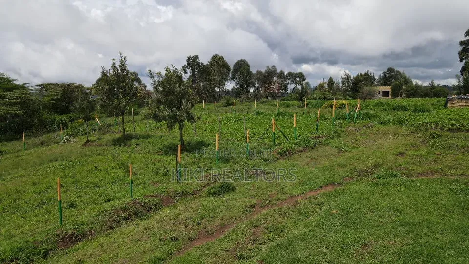 Prime 50x100ft in Kikuyu Thigio -1.5m in Kikuyu