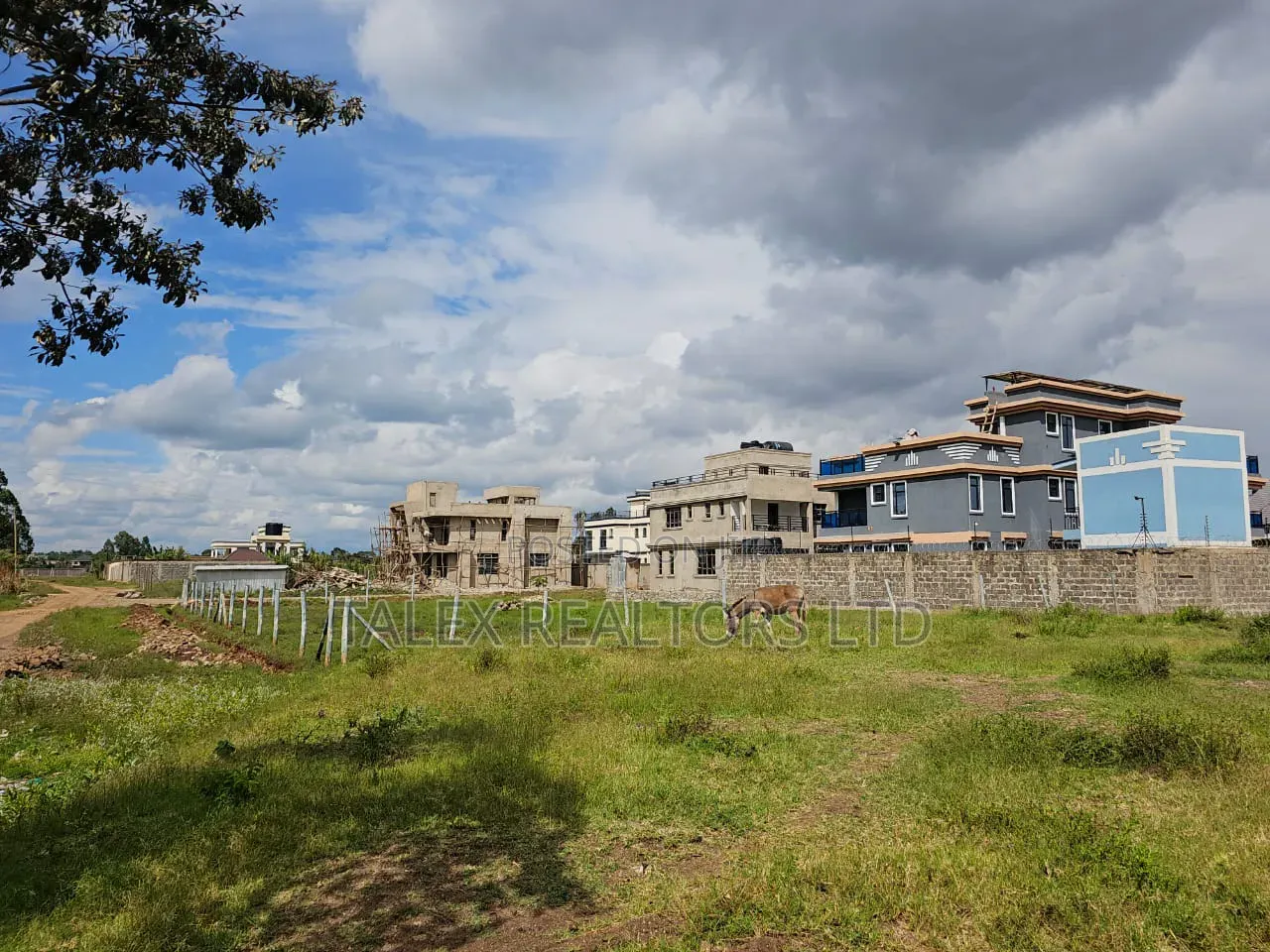 Prime 50x100 Plot for Sale in Ruiru Mugutha | 200m to Tarmac in Kimbo