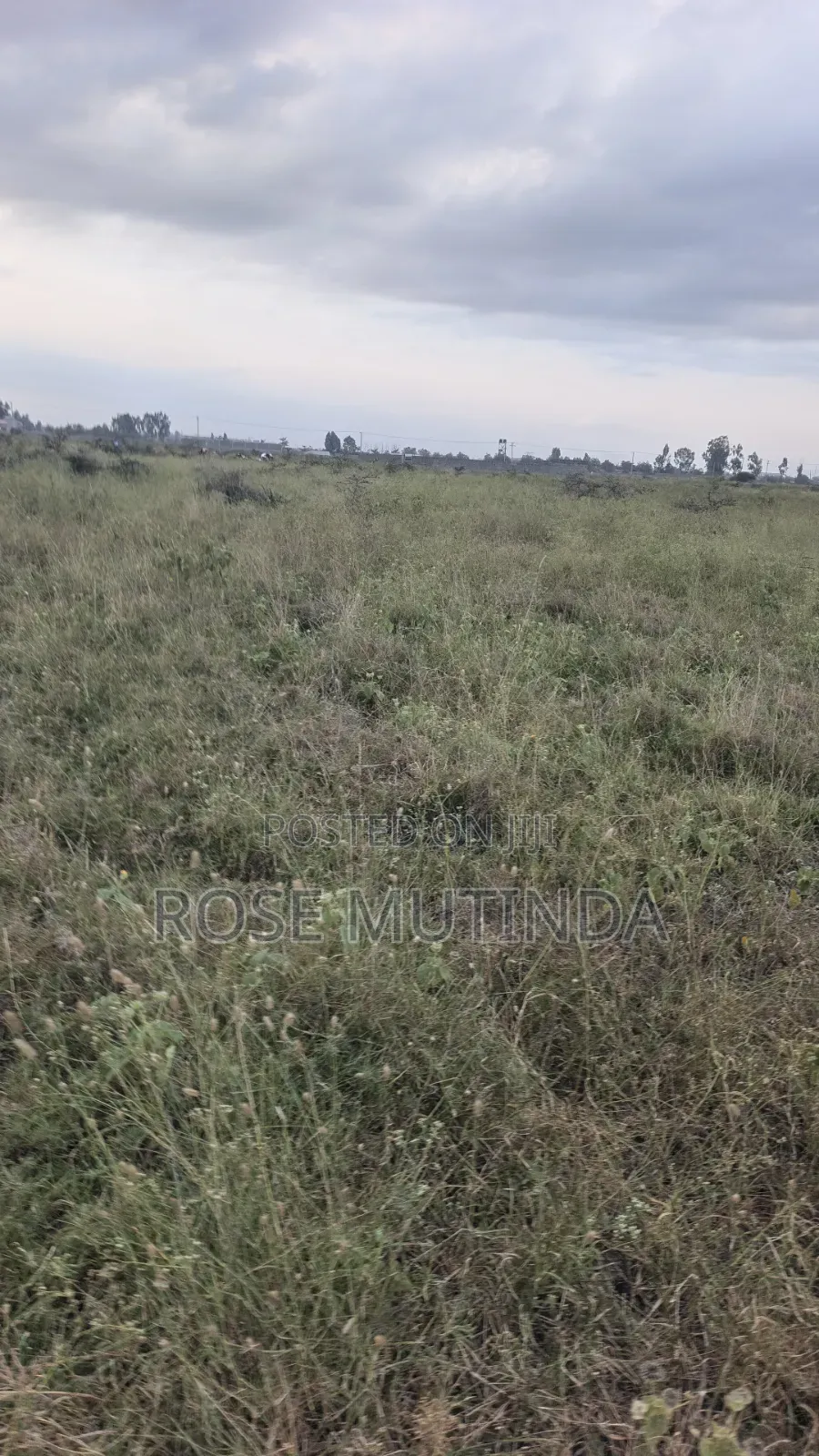 10acres at Sabaki in Sabaki
