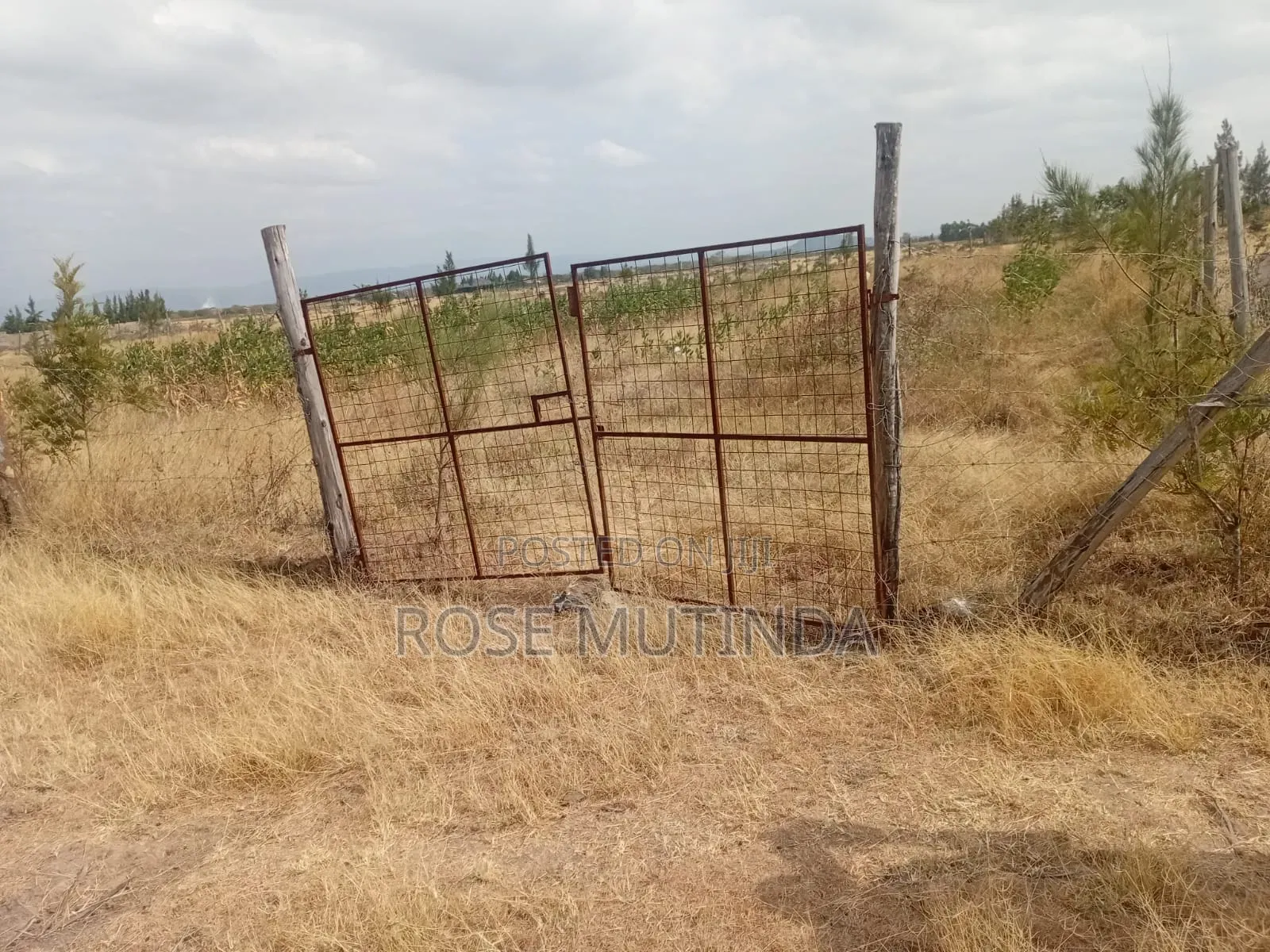 Half an Acre Wendano in Nguluni