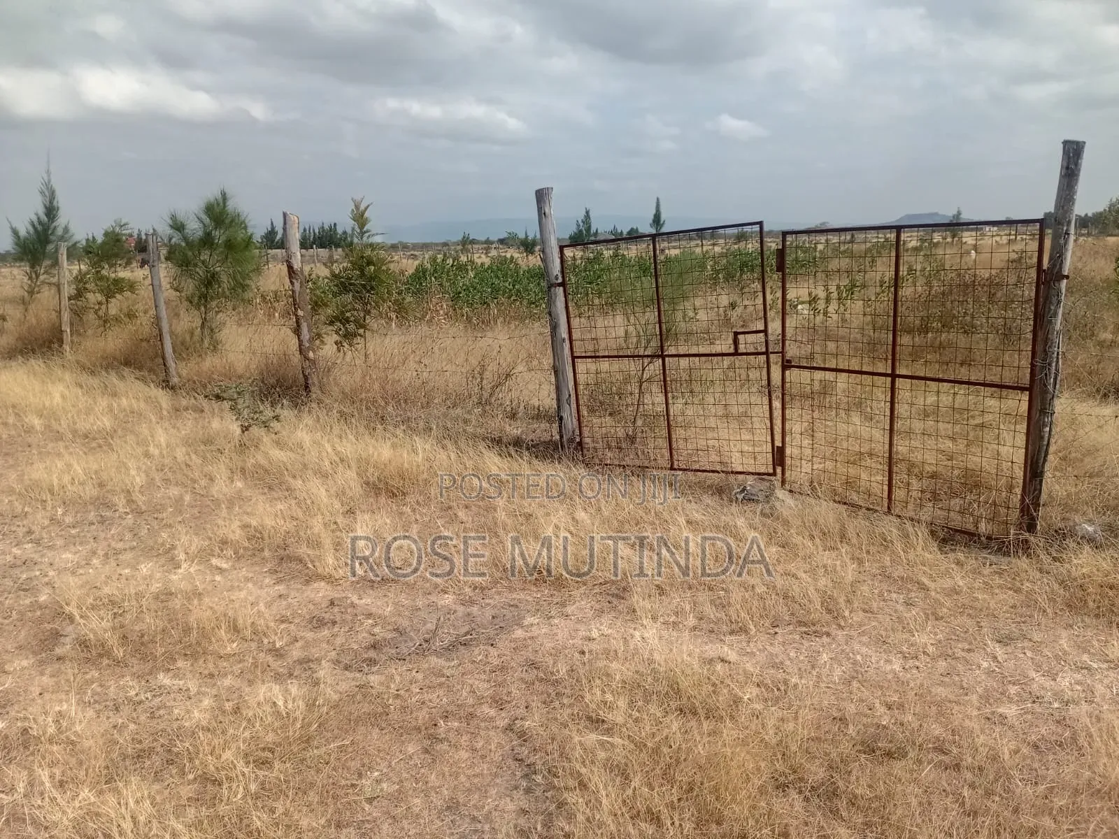 Half an Acre Wendano in Nguluni