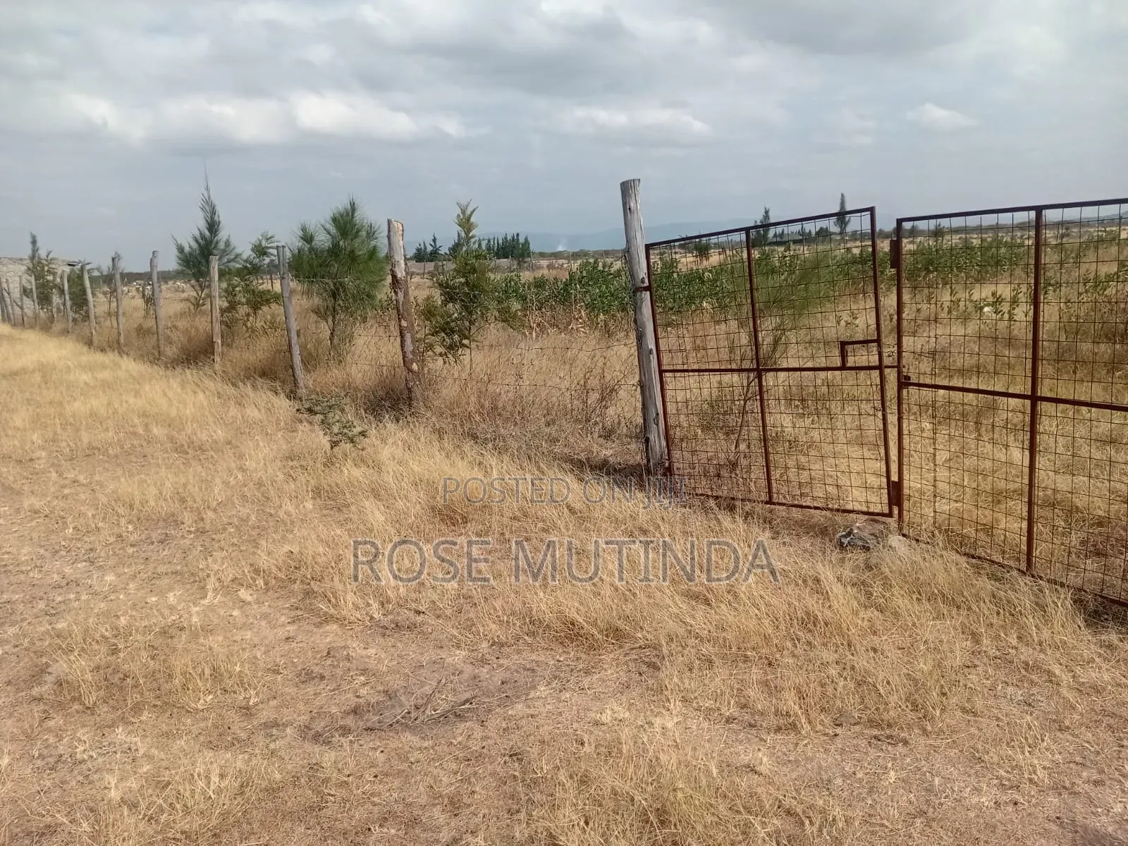 Half an Acre Wendano in Nguluni
