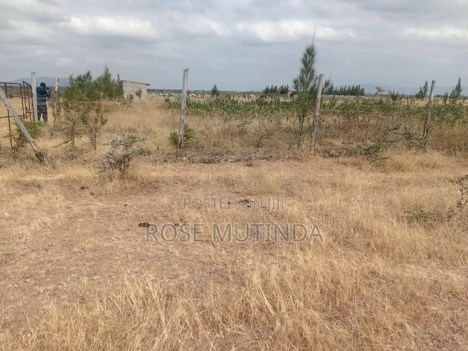 Half an Acre Wendano in Nguluni