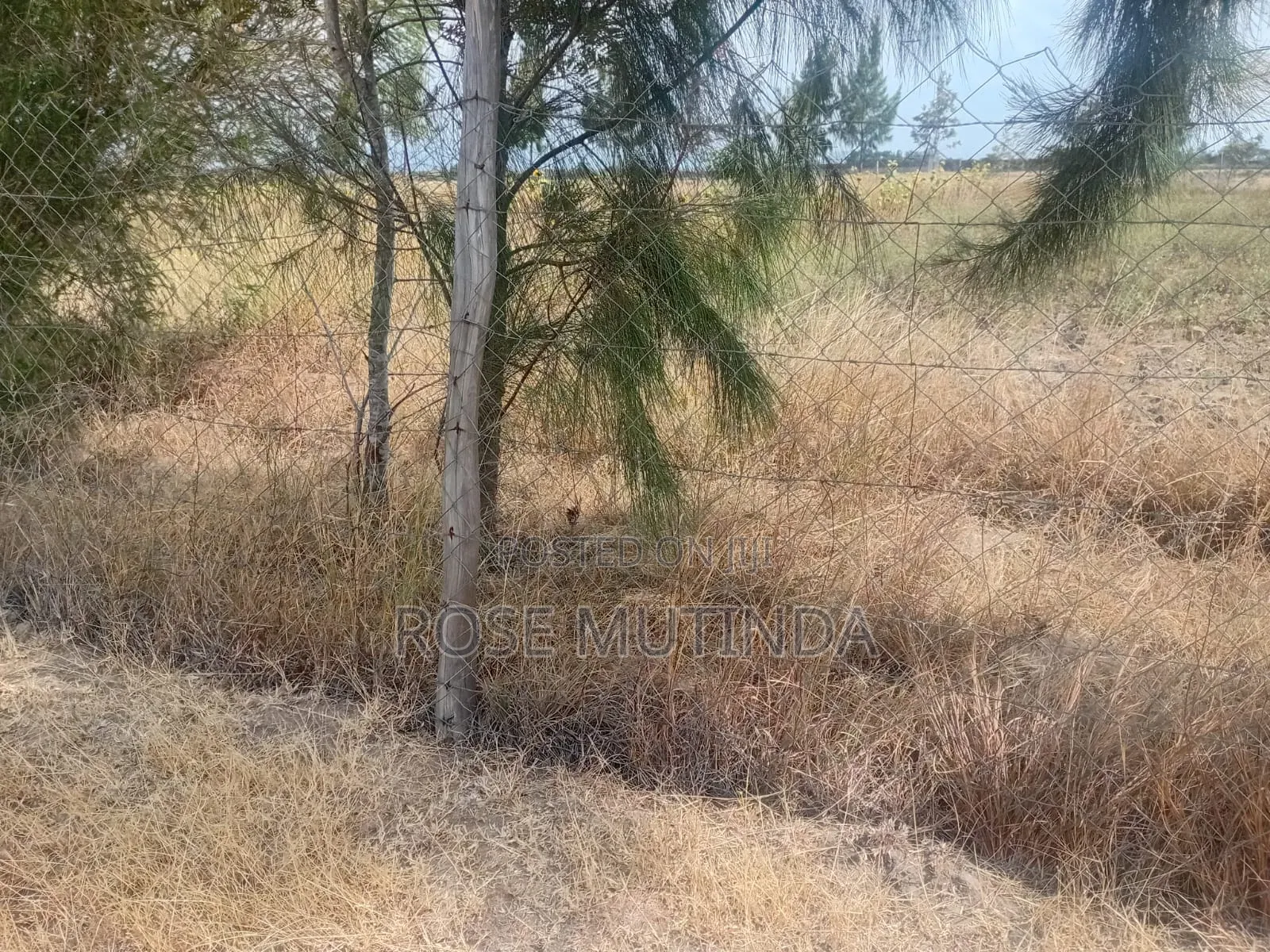 Half an Acre Wendano in Nguluni