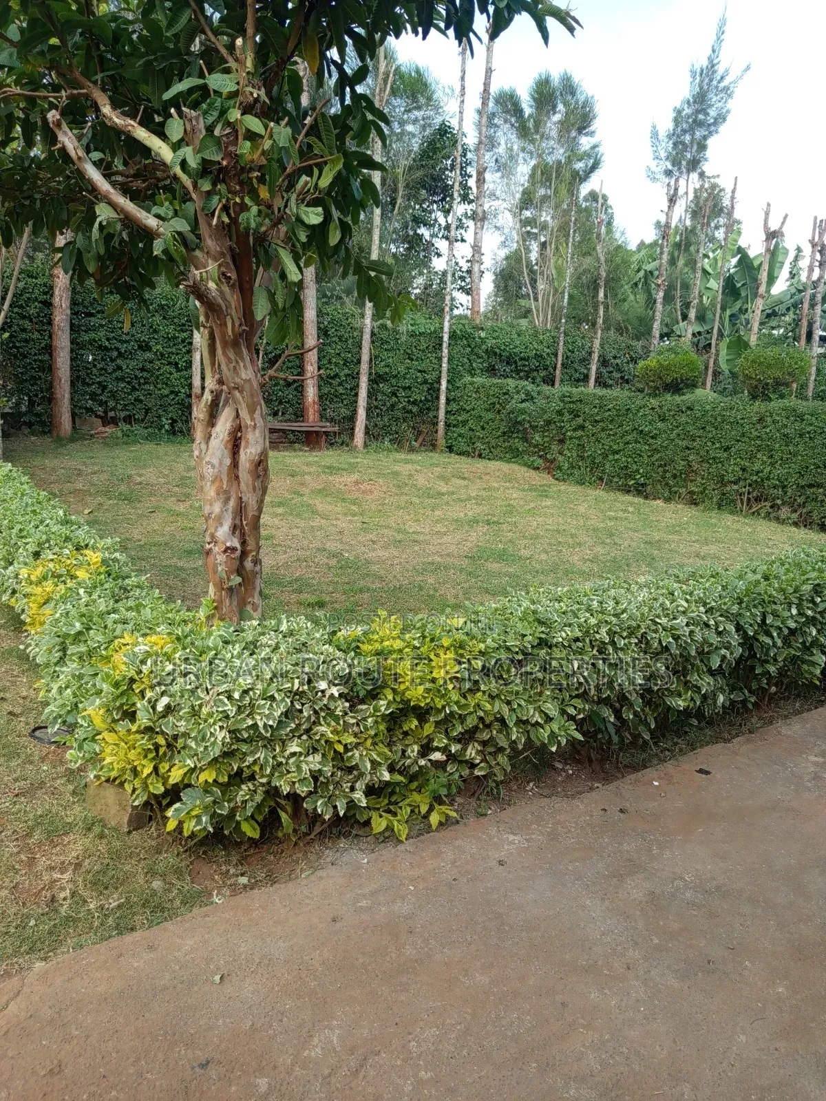 3bdrm Bungalow in Gikambura, Thogoto for rent in Thogoto
