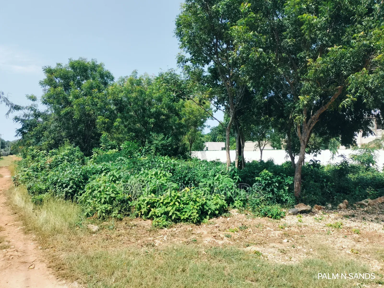 500sqm Plot in Galu Up for Sale! in Diani