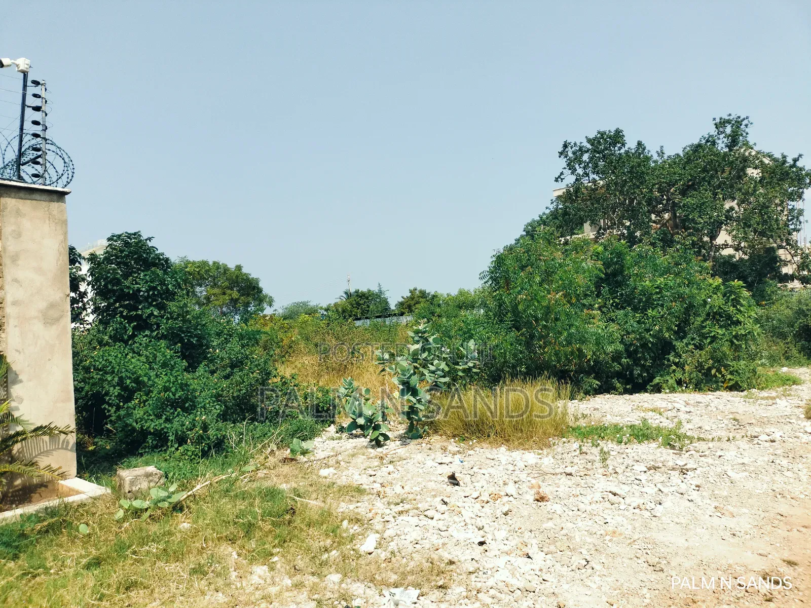  Prime 1/4 Acre Plot for Sale in Galu Kinondo, Diani!  in Diani
