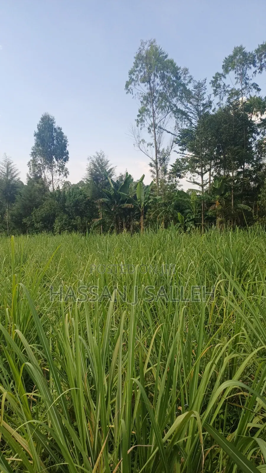2acres Buchifi 4 SALE in Etenje