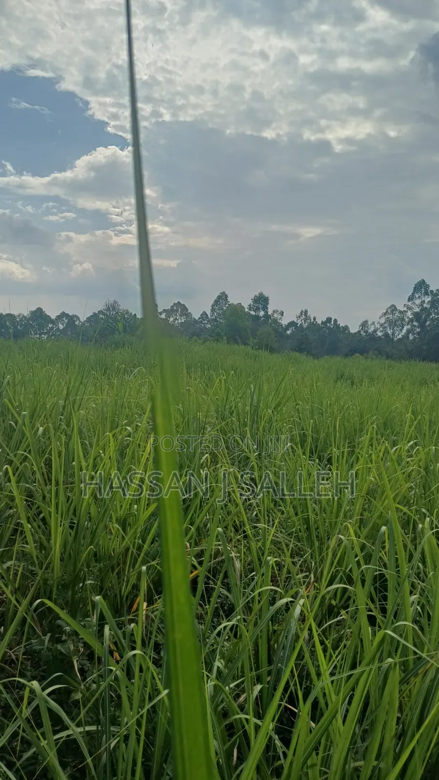 2acres Buchifi 4 SALE in Etenje