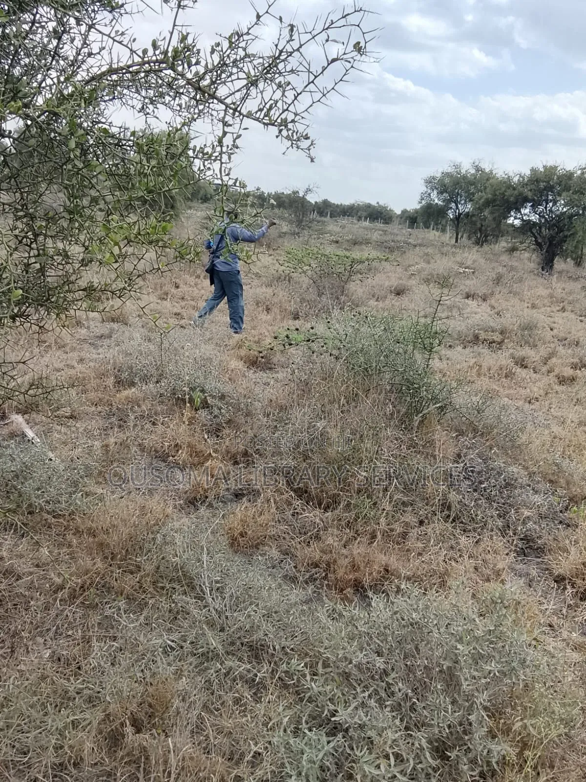 Prime 50x100 Plots in Kitengela Rangers – KSH 1.29m Each in Kitengela