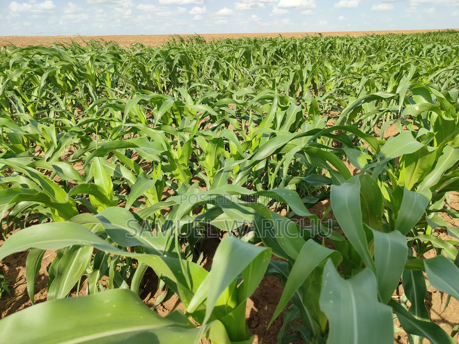 5 Acre Prime Property Marafa Malindi in Adu