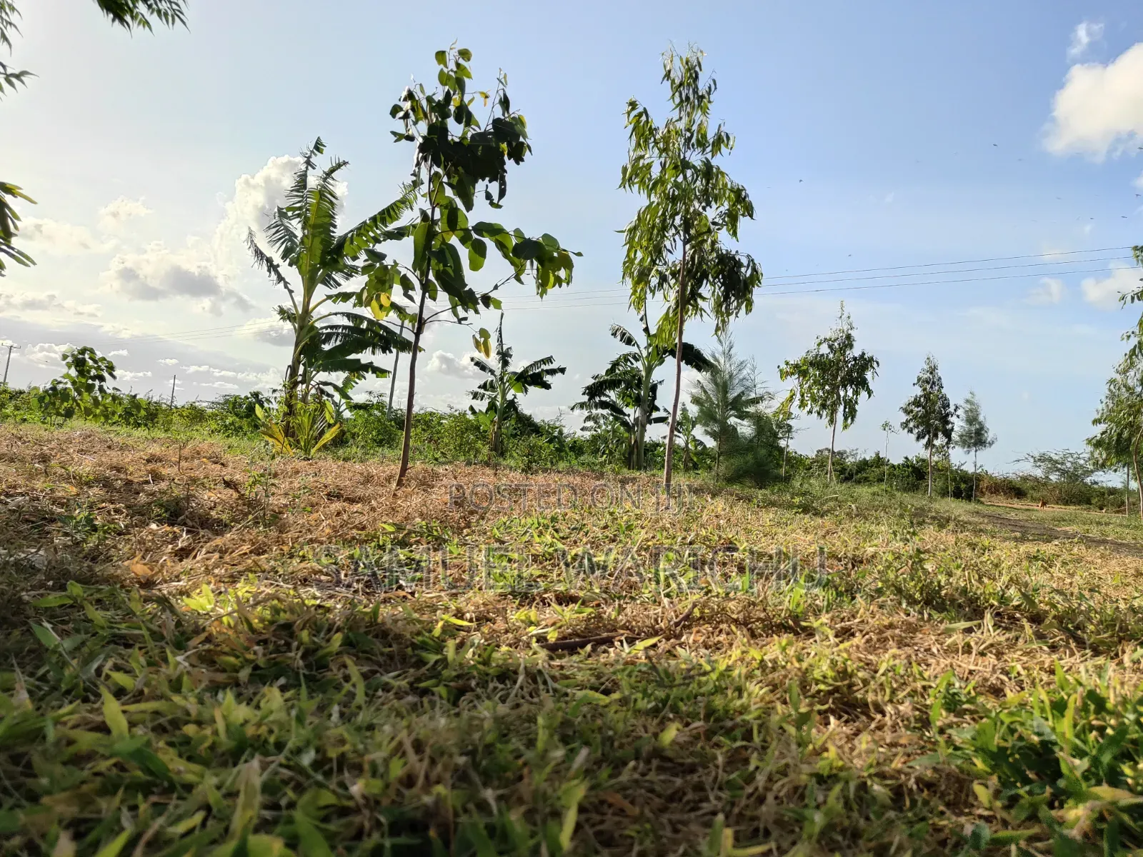 5 Acre Prime Property Marafa Malindi in Adu