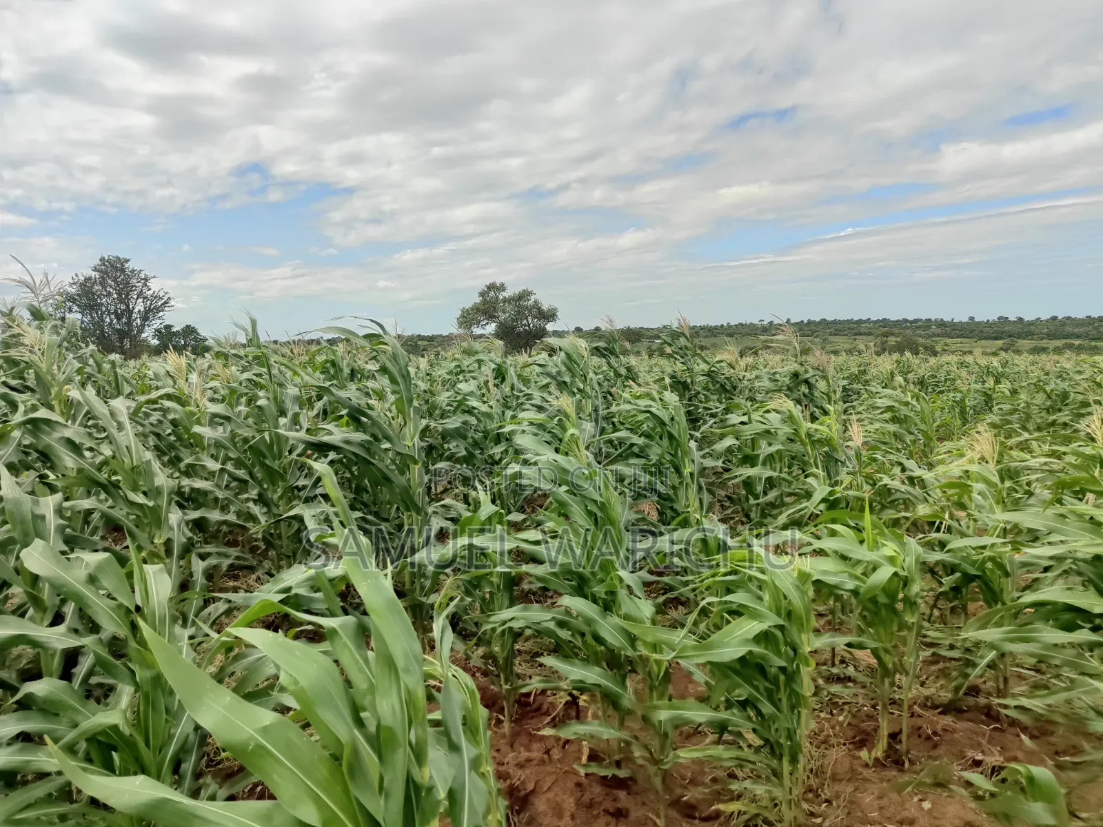 5 Acre Prime Property Marafa Malindi in Adu
