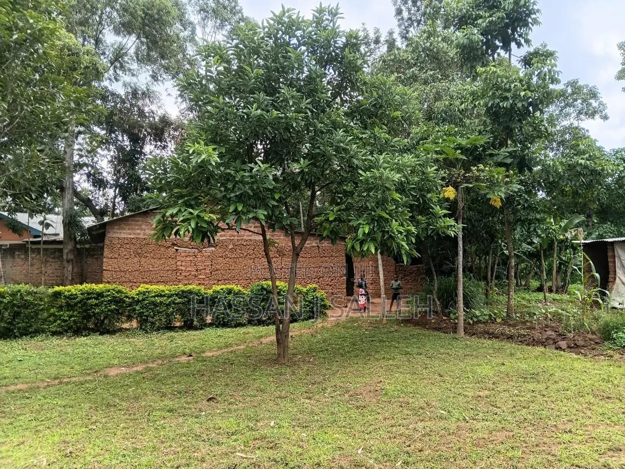 1/2an Acre Bungoma in Musikoma