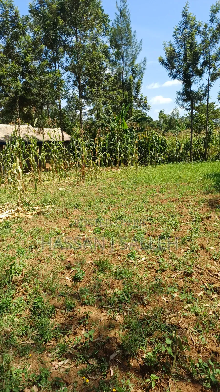5.5acres Mumias on Sale in Mumias Central