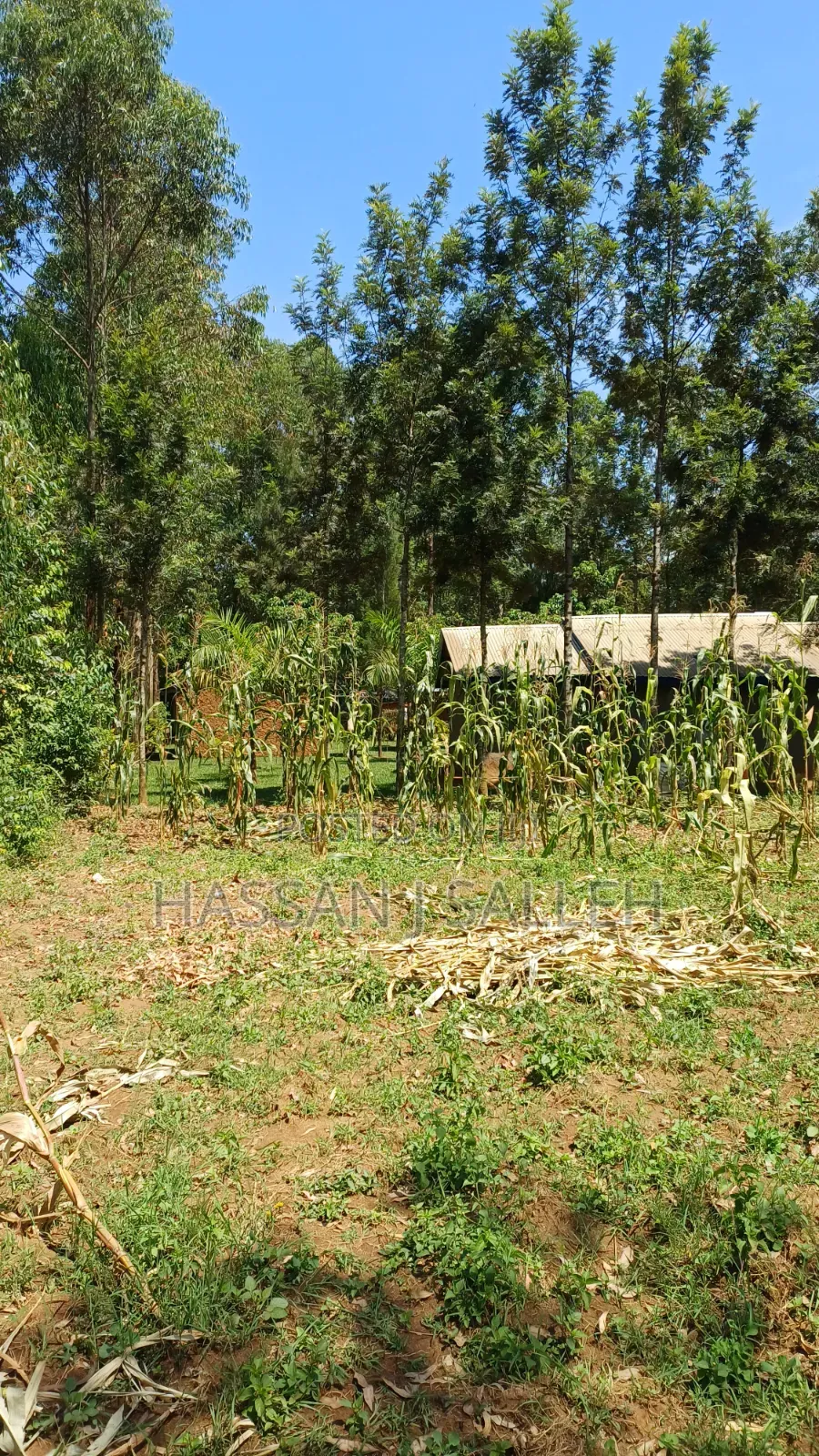 5.5acres Mumias on Sale in Mumias Central