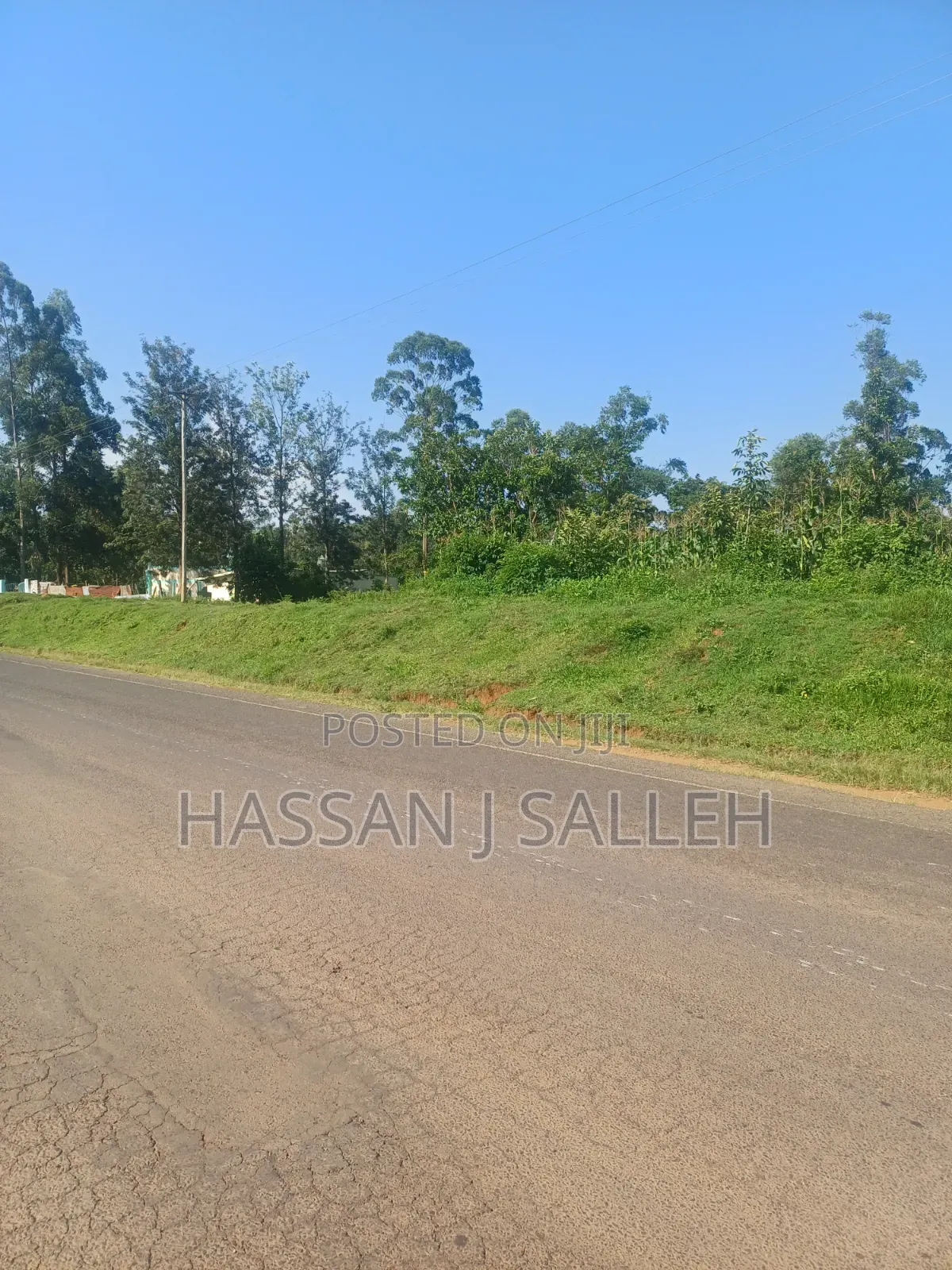 100fts by 100fts Plot 4 SALE. in Mumias Central