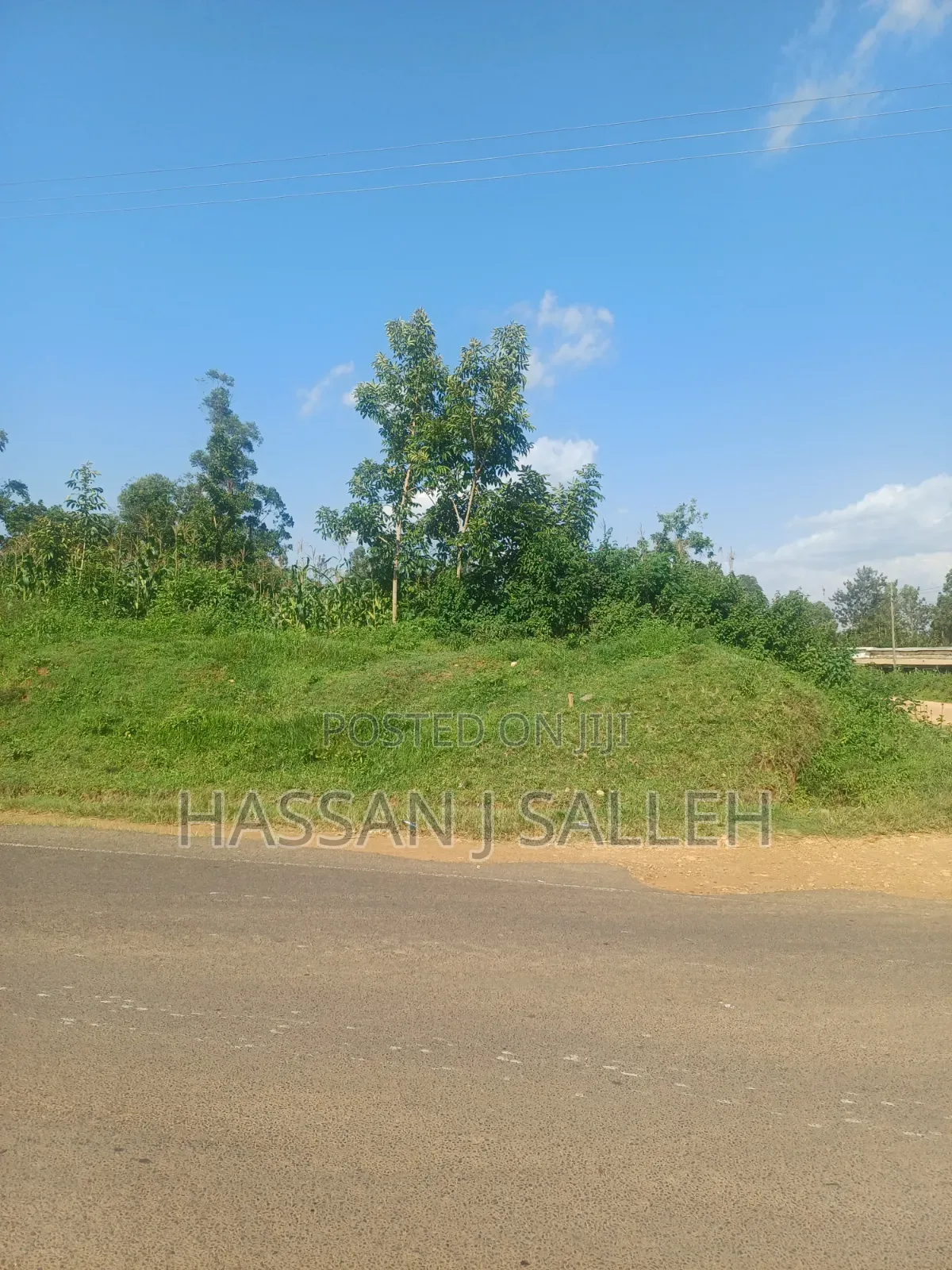 100fts by 100fts Plot 4 SALE. in Mumias Central