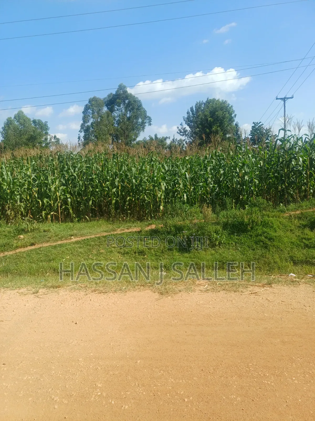1/4acre Ekero in Mumias Central