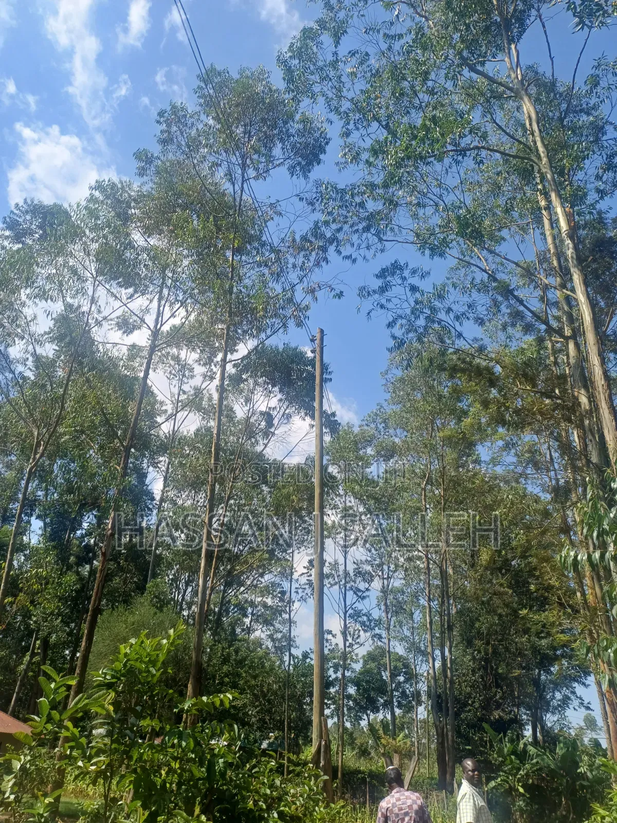 1/2 AN Acre Khwisero on Sale. in Marama Central