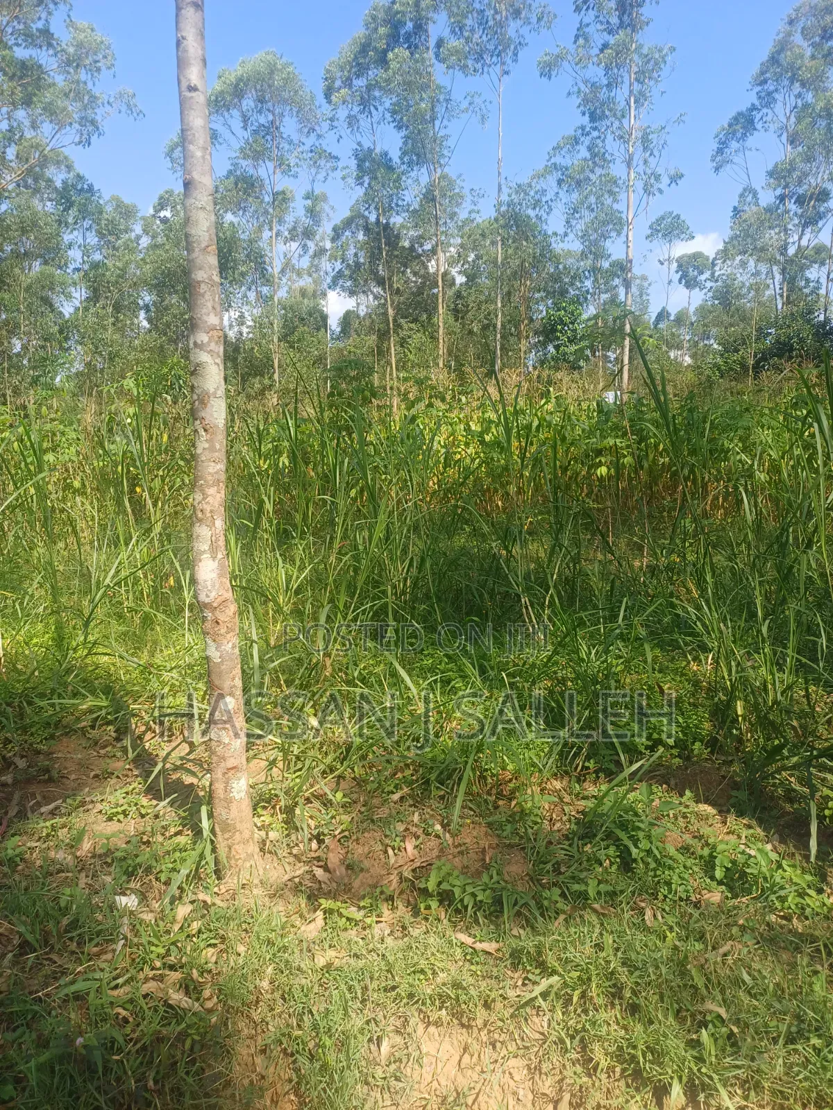 1/2 AN Acre Khwisero on Sale. in Marama Central