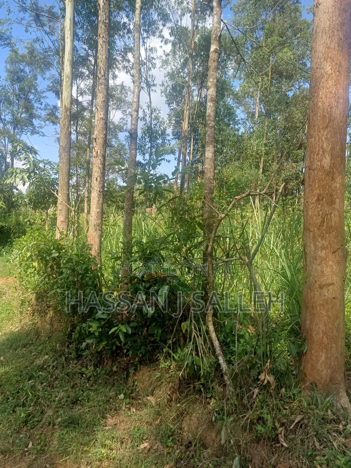 1/2 AN Acre Khwisero on Sale. in Marama Central