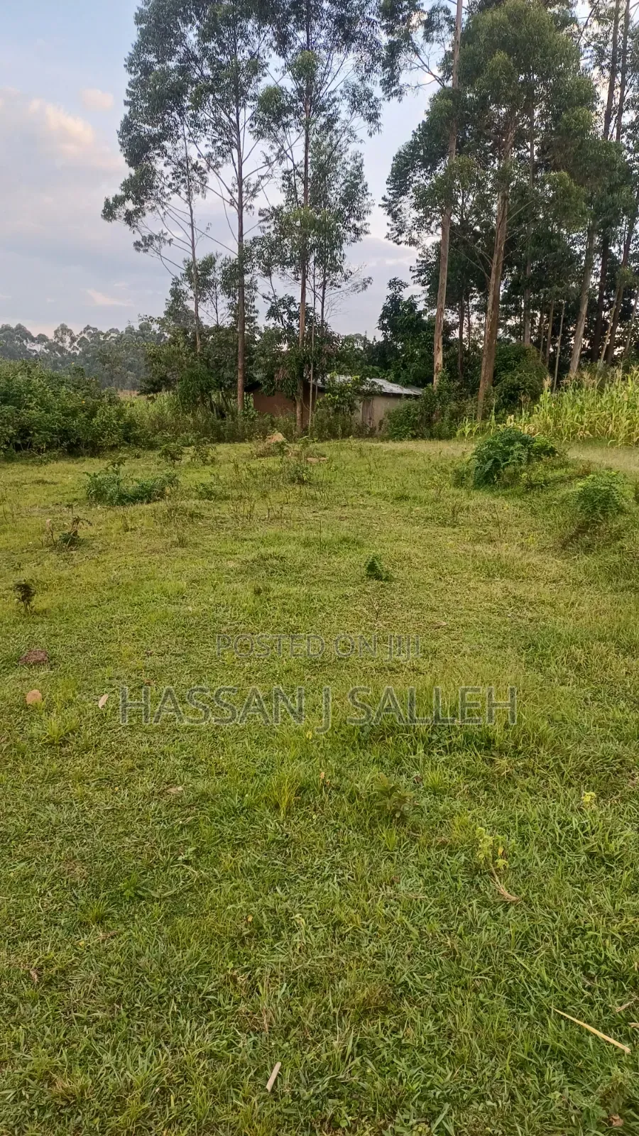 4 Acres Mukumu in Shirere