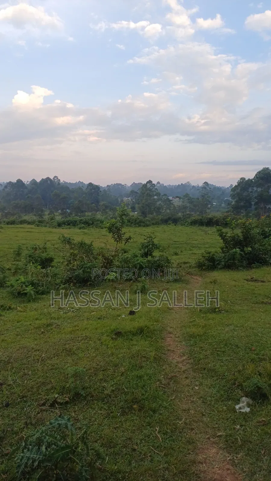 4 Acres Mukumu in Shirere