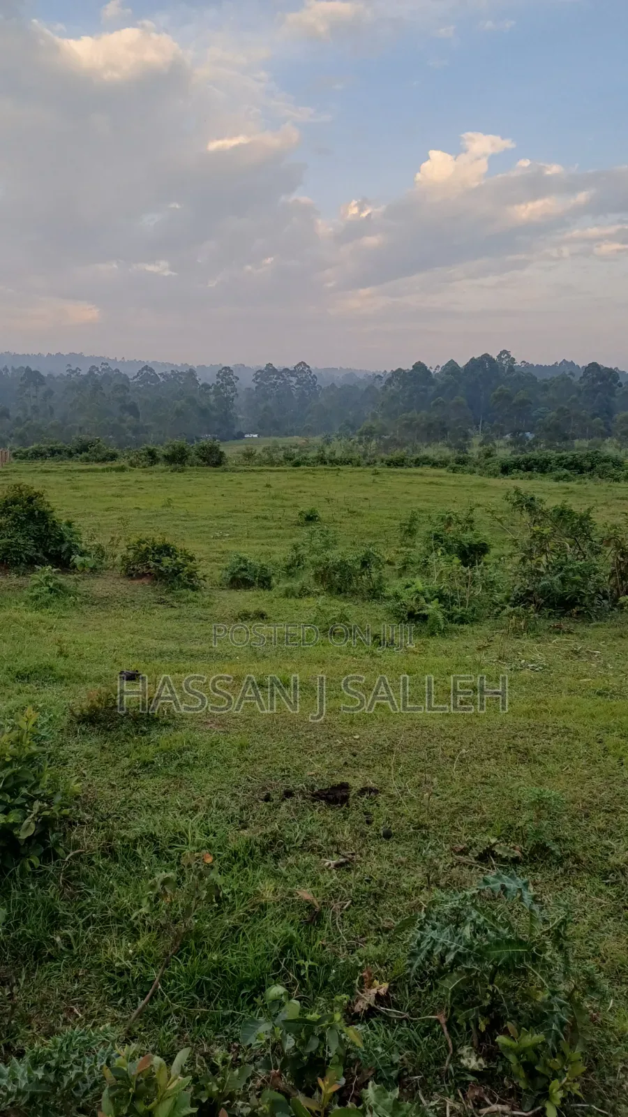 4 Acres Mukumu in Shirere