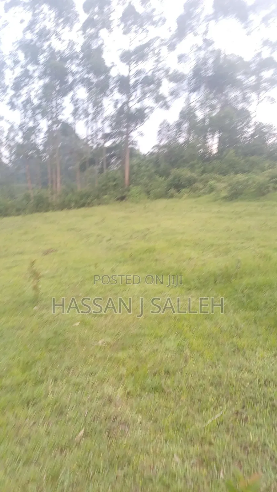 4 Acres Mukumu in Shirere