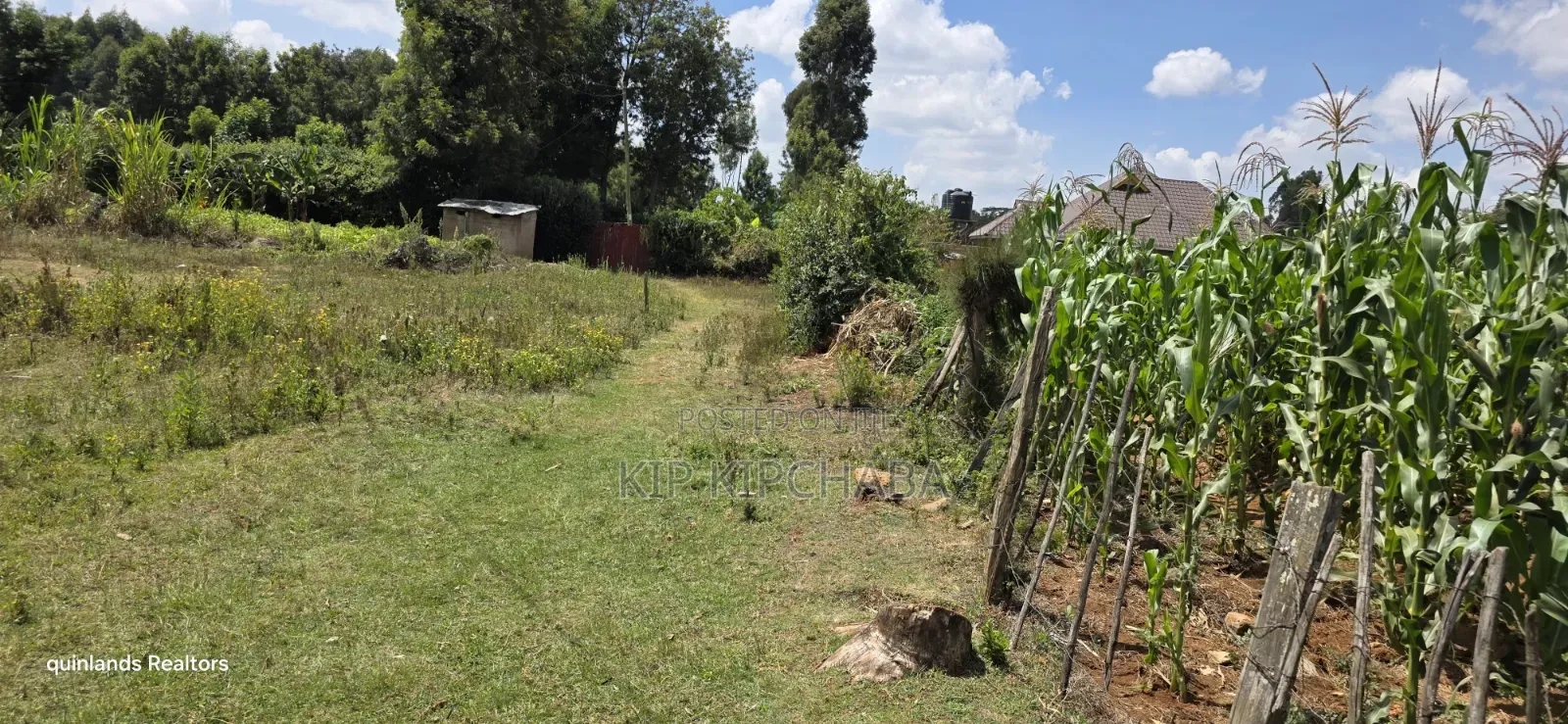 1⁄4 Plot for Sale in Ndovu Marura Carwash of Kimumu Dispensary Eldoret in Kimumu