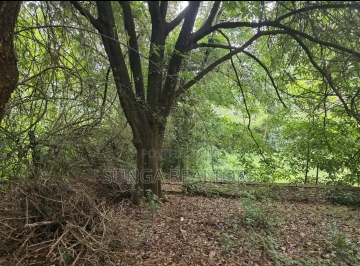 Vacant Land for Sale in Old Kitisuru in Kitisuru