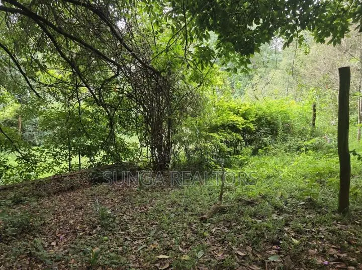 Vacant Land for Sale in Old Kitisuru in Kitisuru