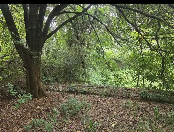 Vacant Land for Sale in Old Kitisuru in Kitisuru