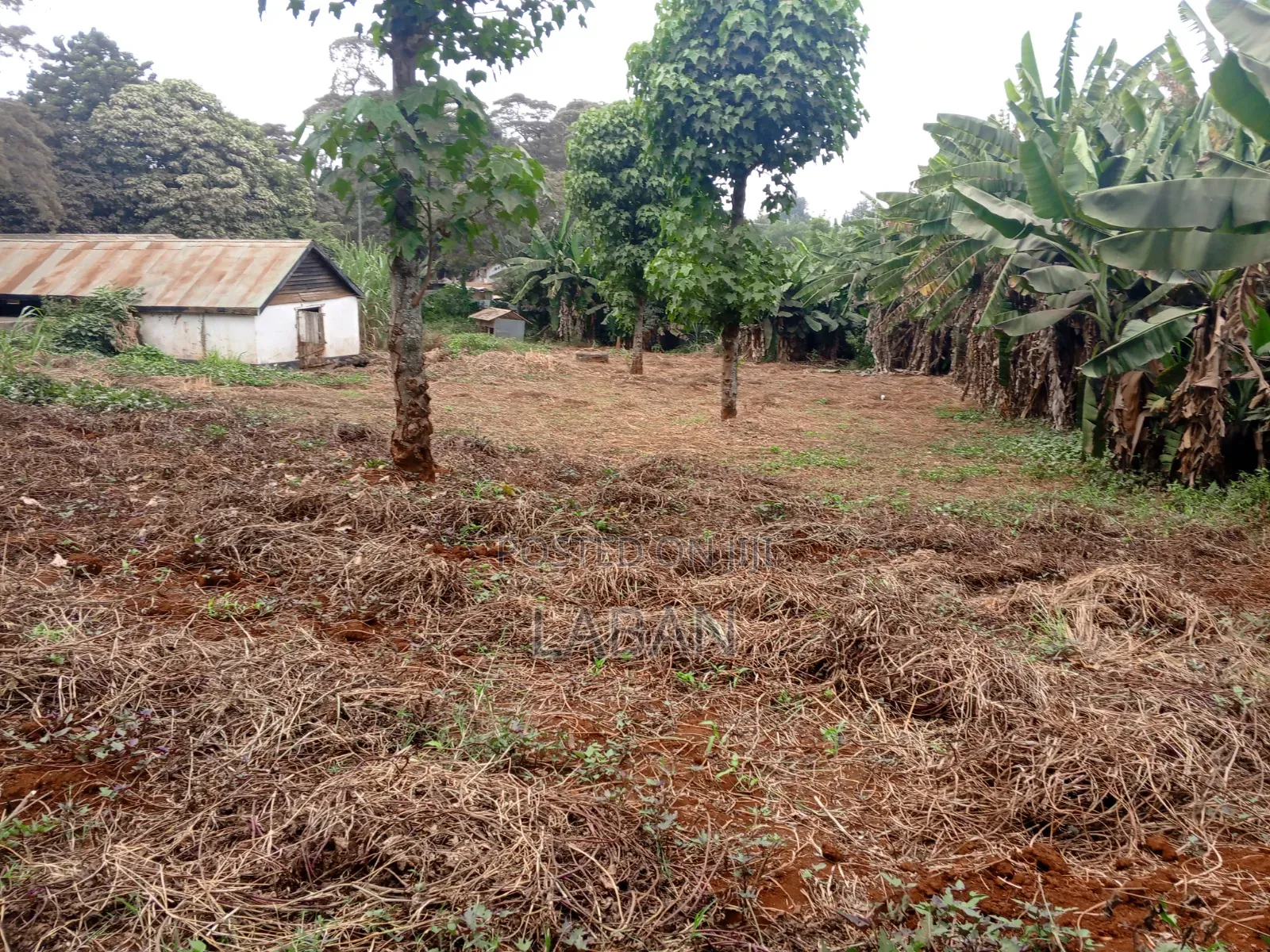 1.3acres Kiukenda in Kiambu CBD