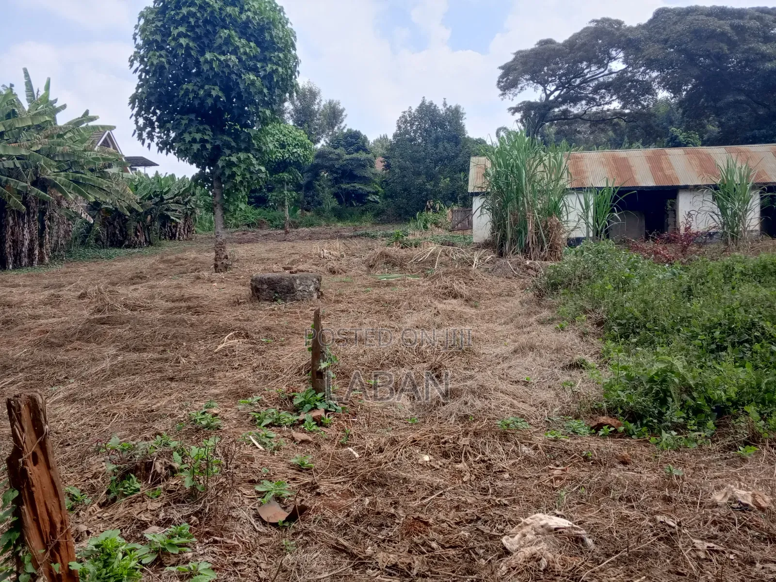 1.3acres Kiukenda in Kiambu CBD