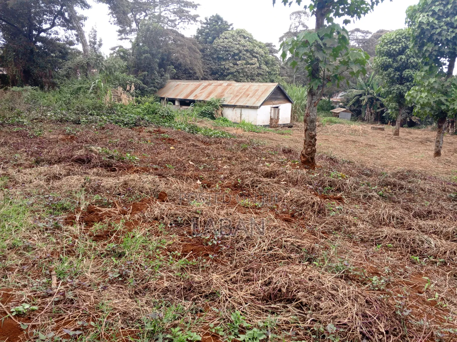 1.3acres Kiukenda in Kiambu CBD