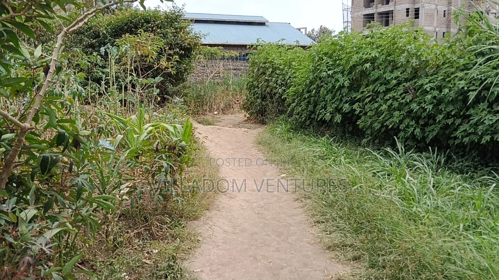 For Sale 50/100 Plot Near Hill Court Hotel Nakuru in Nakuru Town East