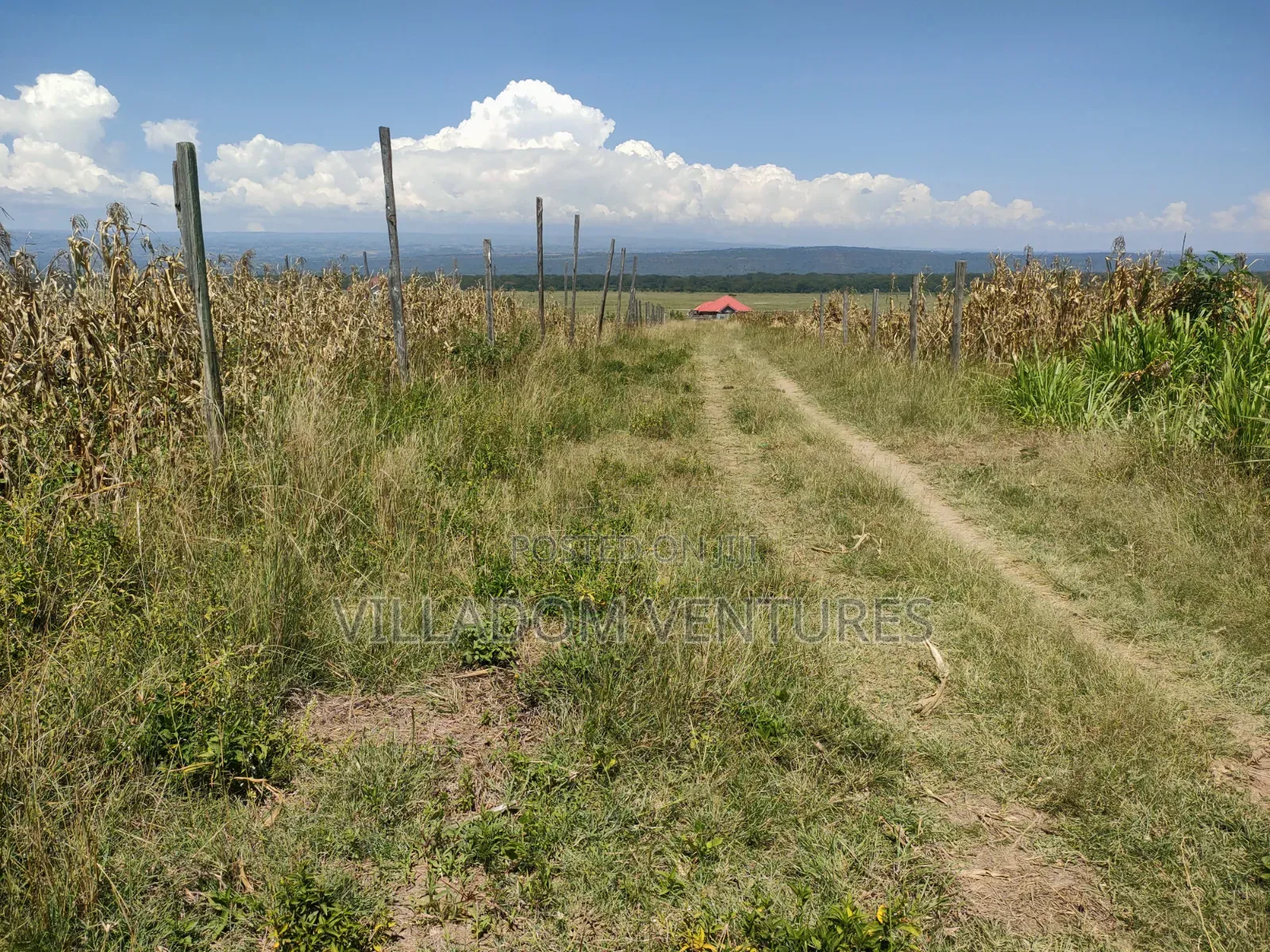 For Sale 50/100 Plots in Mwariki C Strategically Located. in Nakuru Town East