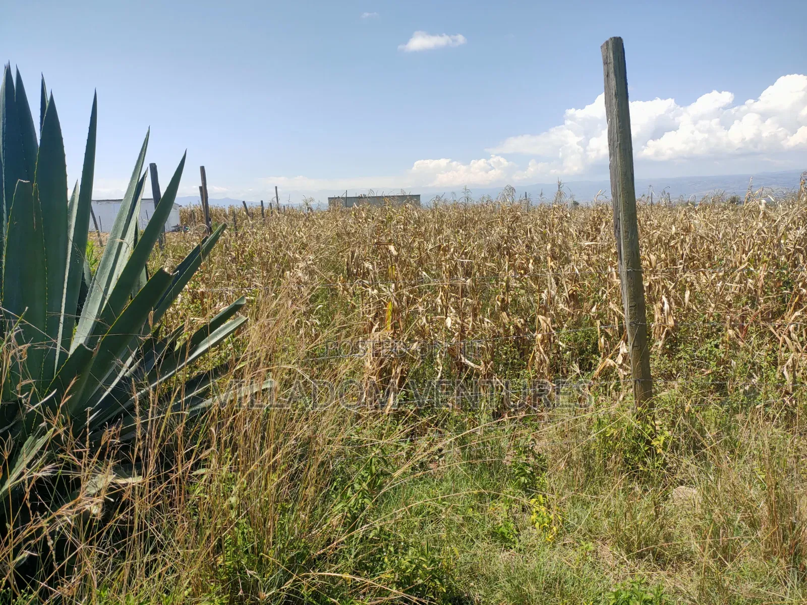 For Sale 50/100 Plots in Mwariki C Strategically Located. in Nakuru Town East