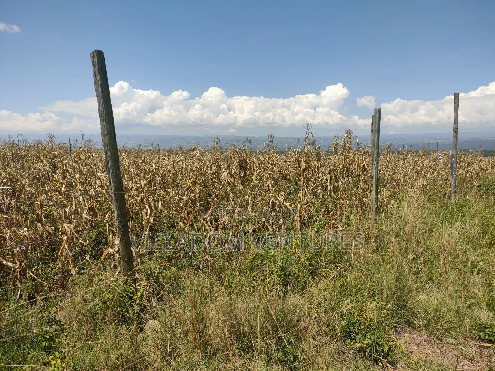 For Sale 50/100 Plots in Mwariki C Strategically Located. in Nakuru Town East