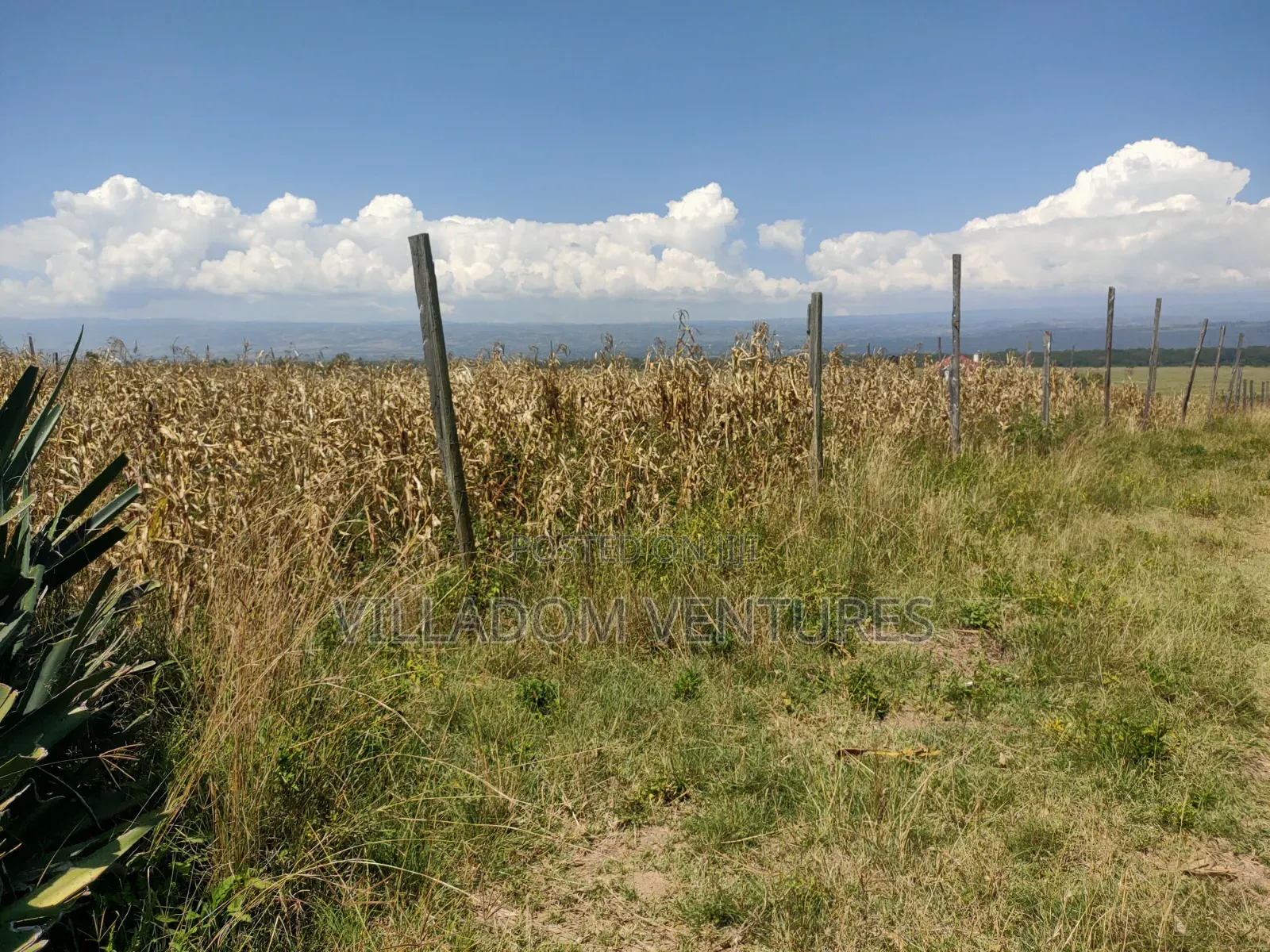 For Sale 50/100 Plots in Mwariki C Strategically Located. in Nakuru Town East