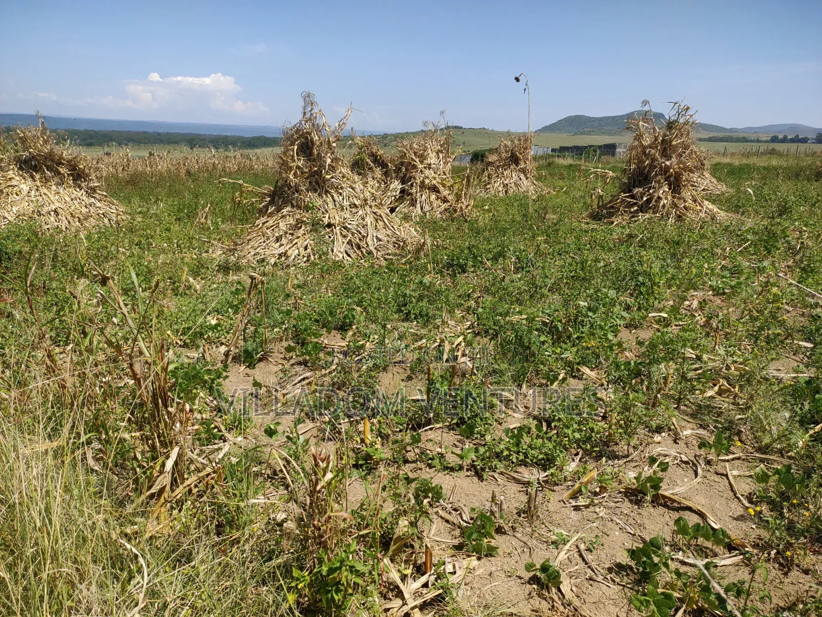 For Sale 50/100 Plots in Mwariki C Strategically Located. in Nakuru Town East