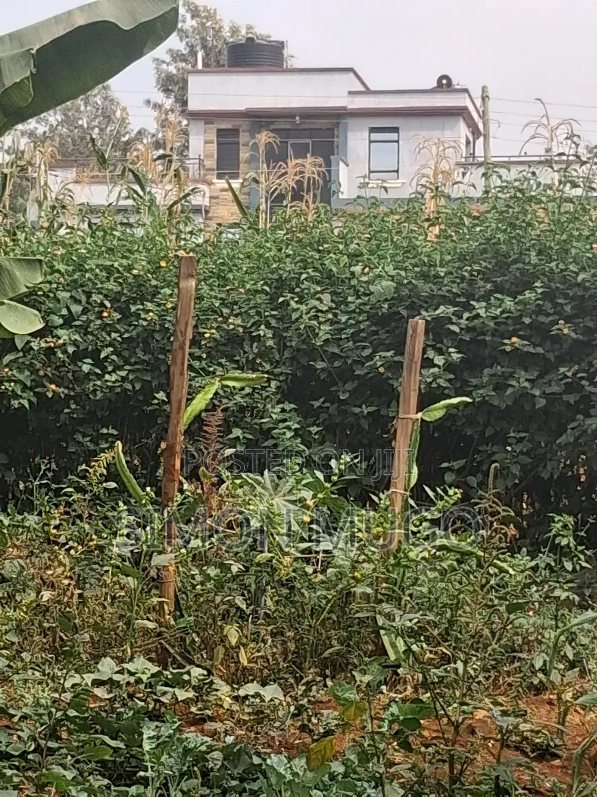 Kiamumbi Prime Residential 1/8 Plot on Pretoria Street Freehold Title in Kahawa Maziwa