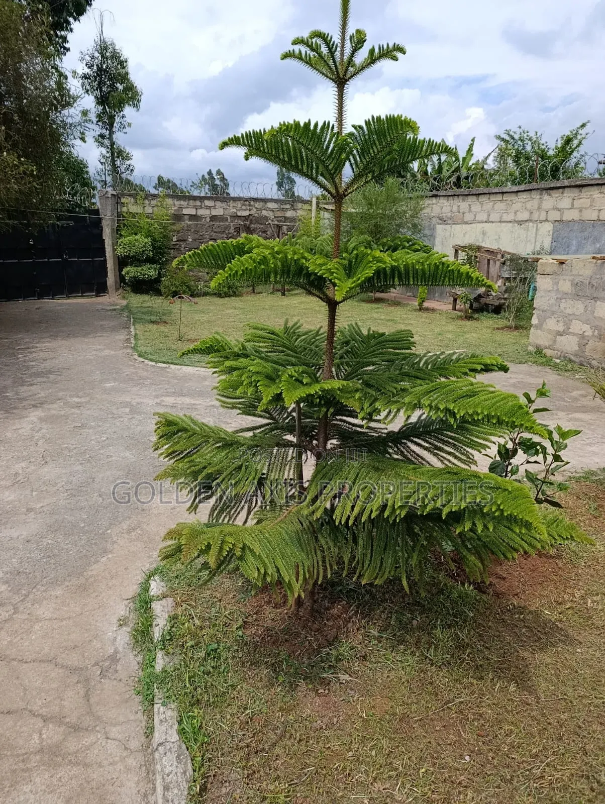 3bdrm Bungalow in Bibirioni for rent in Bibirioni