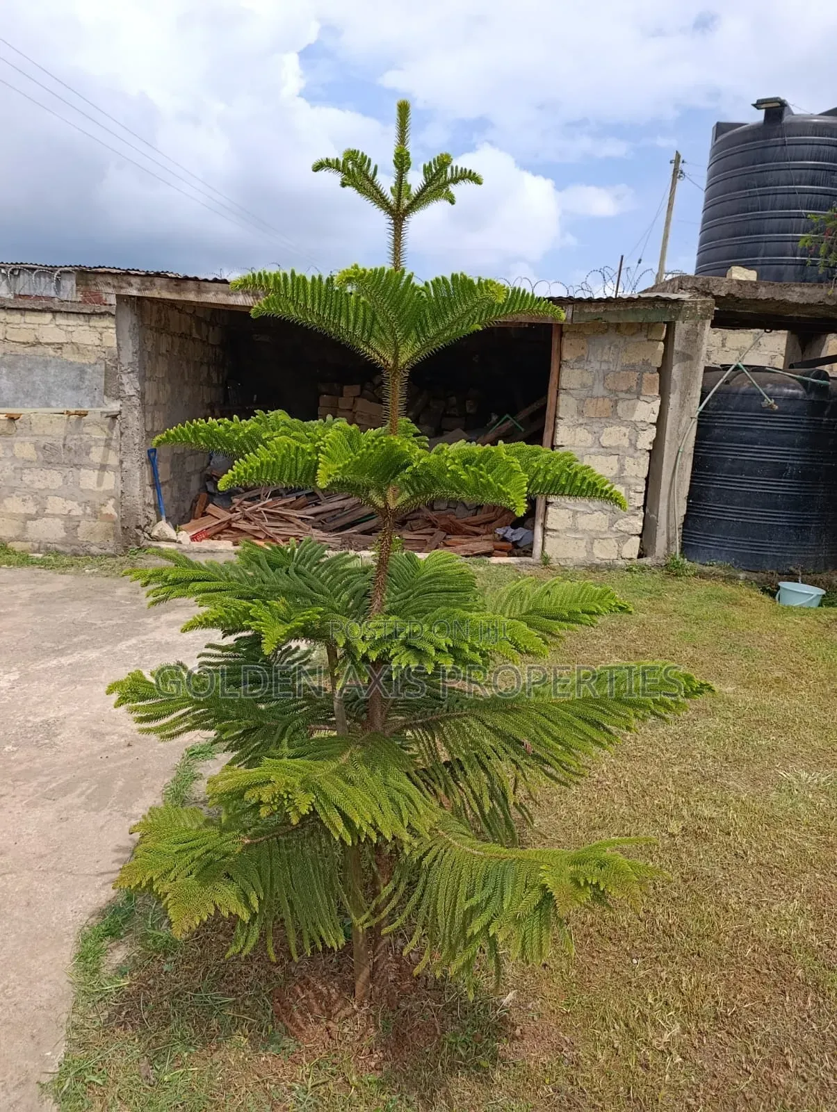 3bdrm Bungalow in Bibirioni for rent in Bibirioni