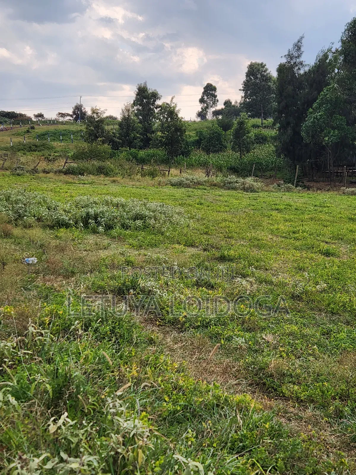 1⁄8 Acre Plots Ngong-Kibiko(windyridge) in Kibiku